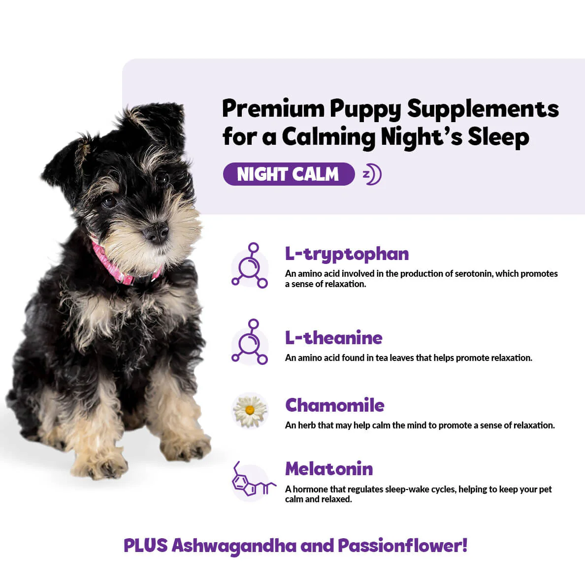Puppy Calming Kit - Image 9
