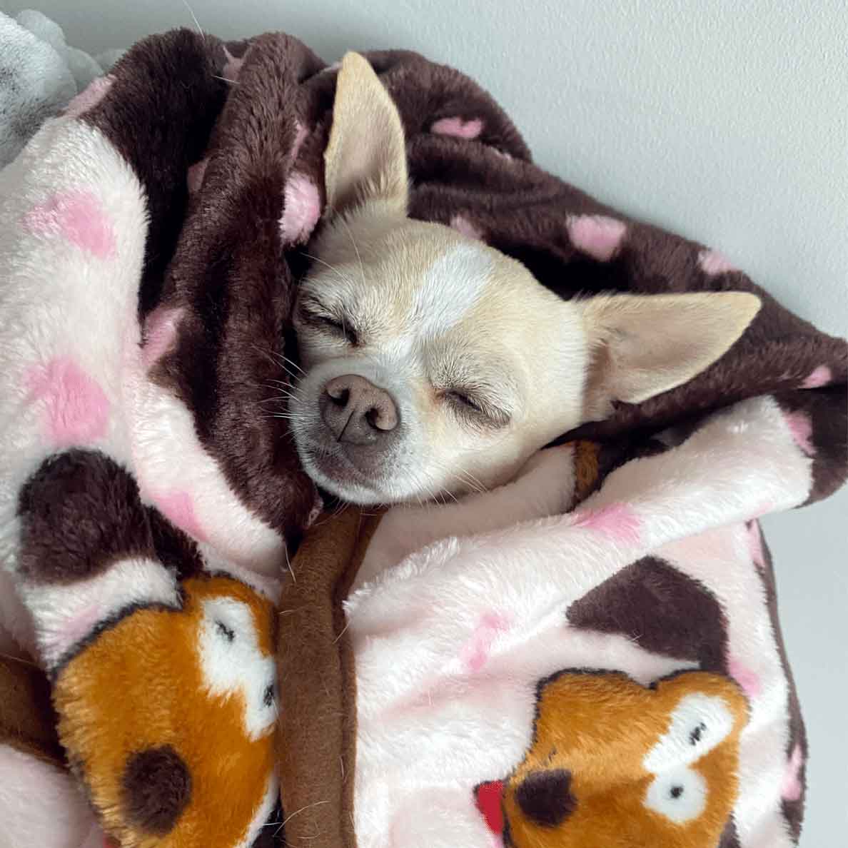 Snuggle Blanket For Pets - Image 9